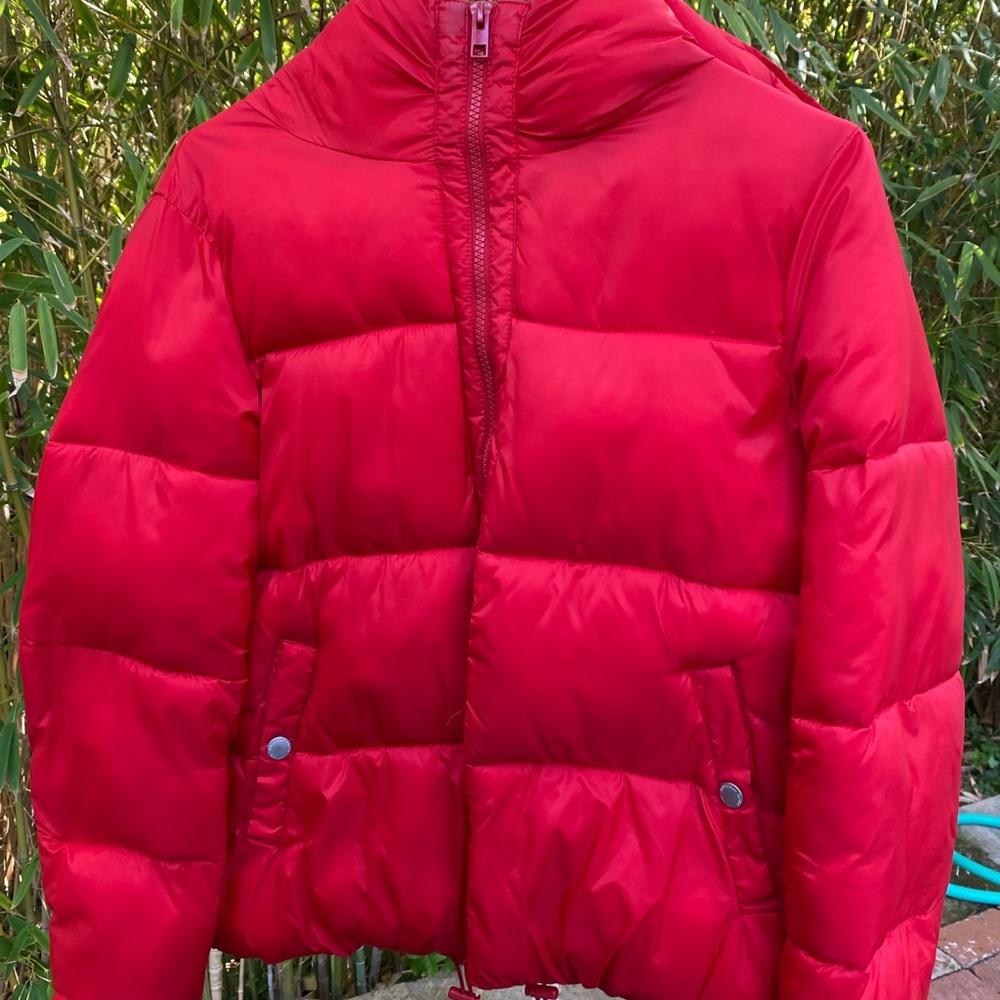 Red Puffer